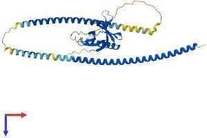 HOMER3 Protein (AA 1-361) (His tag)