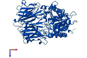 PREP Protein (AA 1-710) (His tag)