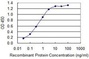 Detection limit for recombinant GST tagged S100B is 0. (S100B Antikörper  (AA 1-92))