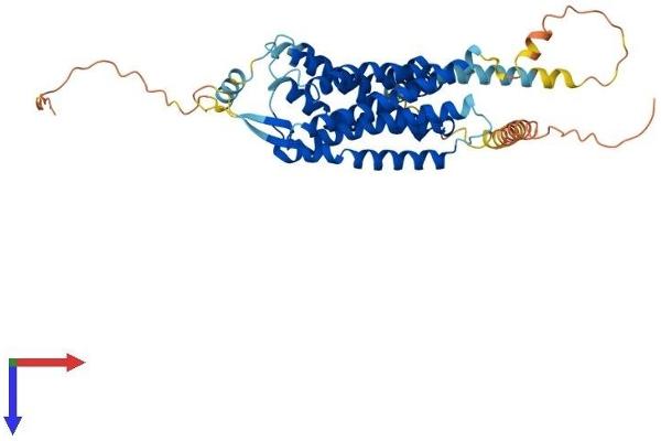 HCRTR2 Protein (AA 1-444) (His tag)