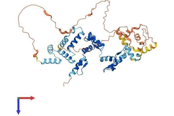 ZNF213 Protein (AA 1-459) (His tag)