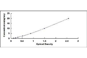 Typical standard curve (CYP2D6 ELISA Kit)