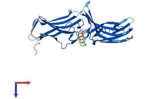 VPS26A Protein (AA 1-327) (His tag)