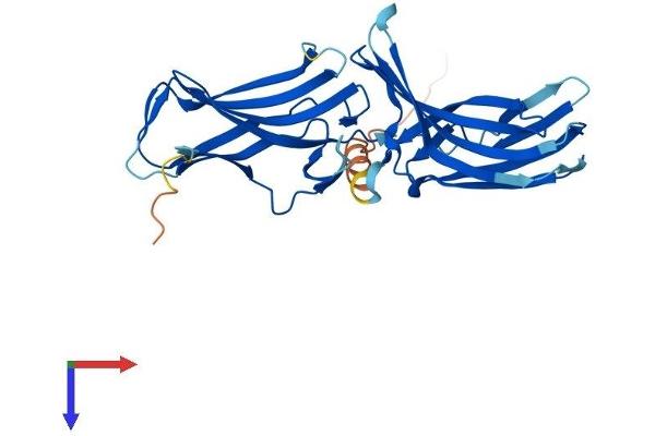 VPS26A Protein (AA 1-327) (His tag)