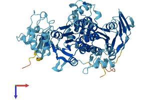 ABCE1 Protein (AA 1-599) (His tag)