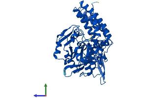 AlphaFold protein structure predicition of Human Recombinant BLMH Protein, UniprotID Q13867