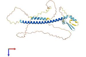 CREBZF Protein (AA 1-354) (His tag)