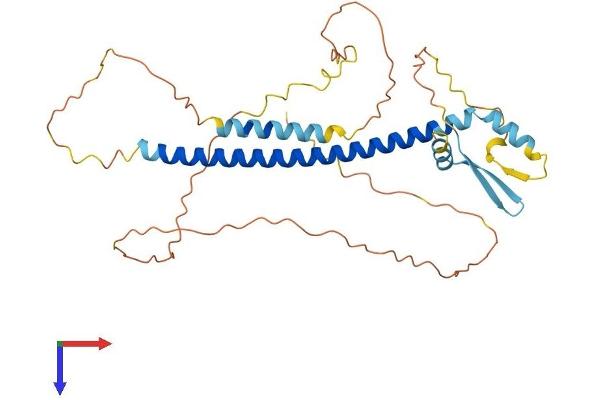 CREBZF Protein (AA 1-354) (His tag)