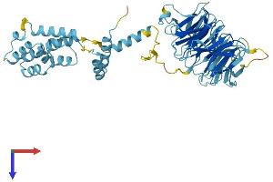 SMU1 Protein (AA 1-513) (His tag)