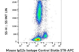 Example of nonspecific mouse IgG2a (MOPC-173) biotin signal on human peripheral blood, surface staining, 3 μg/mL. (Maus IgG2a isotype control (Biotin))