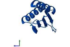 Protein Structure (PS) image for Dynein, Light Chain, LC8-Type 2 (DYNLL2) (AA 1-89) protein (His tag) (ABIN7547249)