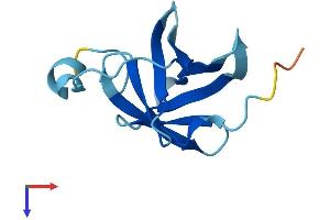 MTCP1 Protein (AA 1-107) (His tag)