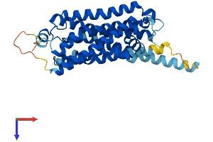 TAAR1 Protein (AA 1-332) (His tag)