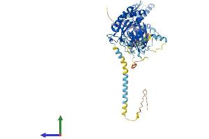 Protein Structure (PS) image for Ectonucleoside Triphosphate diphosphohydrolase 7 (ENTPD7) (AA 1-606) protein (His tag) (ABIN7557054)