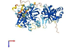 TYSND1 Protein (AA 1-566) (His tag)
