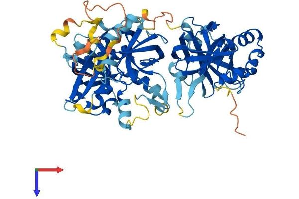 TYSND1 Protein (AA 1-566) (His tag)