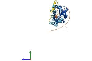 Protein Structure (PS) image for Chemokine (C-C Motif) Receptor 2 (CCR2) (AA 1-374) protein (His tag) (ABIN7553021)