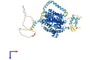 SLC28A3 Protein (AA 1-691) (His tag)