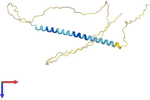 TCEAL4 Protein (AA 1-215) (His tag)