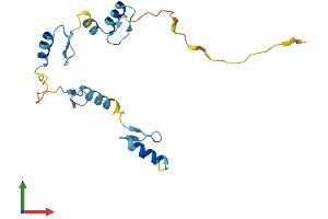 Protein Structure (PS) image for Zinc Finger Protein 576 (ZNF576) (AA 1-170) protein (His tag) (ABIN7545567)