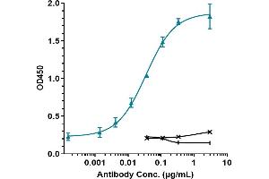 Immobilized human TGFb1 His at 2 μg/mL can bind Anti-TGFb1 Reference Antibody (SRK181), EC50=0. (Rekombinanter TGFB1 Antikörper)