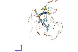 AlphaFold protein structure predicition of Human Recombinant ZNF746 Protein, UniprotID Q6NUN9