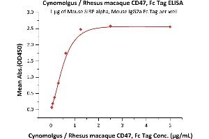 Immobilized Mouse SIRP alpha, Mouse IgG2a Fc Tag (ABIN5955018,ABIN6253632) at 10 μg/mL (100 μL/well) can bind Cynomolgus / Rhesus macaque CD47, Fc Tag (ABIN4949053,ABIN4949054) with a linear range of 0.