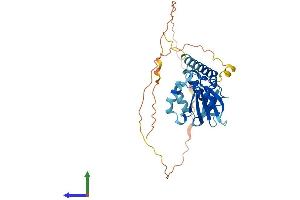AlphaFold protein structure predicition of Mouse Recombinant Bnip2 Protein, UniprotID O54940