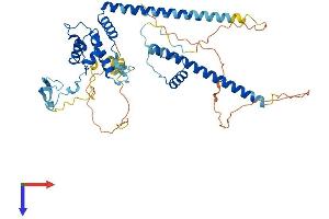 DMAP1 Protein (AA 1-468) (His tag)