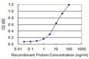 Detection limit for recombinant GST tagged MGEA5 is 0. (MGEA5 Antikörper  (AA 823-916))