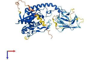 B3GALNT2 Protein (AA 1-504) (His tag)