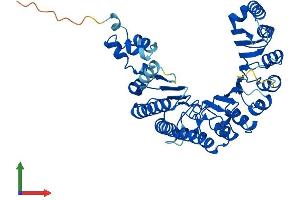 Protein Structure (PS) image for F-Box Protein 39 (FBXO39) (AA 1-442) protein (His tag) (ABIN7547531)