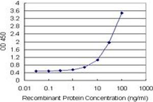 Sandwich ELISA detection sensitivity ranging from 1 ng/mL to 100 ng/mL.