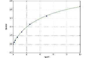 Preferentially Expressed Antigen in Melanoma (PRAME) ELISA Kit
