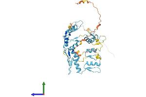 Protein Structure (PS) image for General Transcription Factor IIIA (GTF3A) (AA 1-364) protein (His tag) (ABIN7559935)