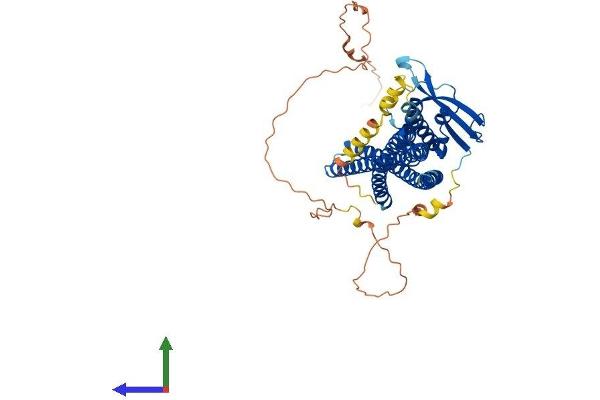Sorting Nexin 1 Protein (SNX1) (AA 1-522) (His tag)
