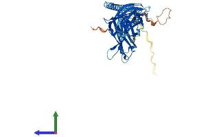 Protein Structure (PS) image for Synaptotagmin V (SYT5) (AA 1-386) protein (His tag) (ABIN7556193)