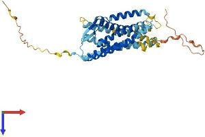 CCR10 Protein (AA 1-362) (His tag)