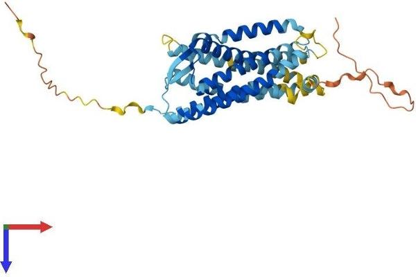 CCR10 Protein (AA 1-362) (His tag)