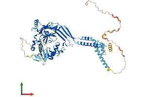 Protein Structure (PS) image for Sodium Channel, Nonvoltage-Gated 1, gamma (SCNN1G) (AA 1-649) protein (His tag) (ABIN7555375)