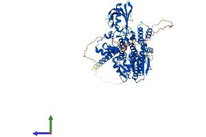 Protein Structure (PS) image for Myotubularin Related Protein 7 (MTMR7) (AA 1-660) protein (His tag) (ABIN7556417)