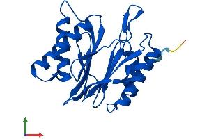 Protein Structure (PS) image for Proteasome (Prosome, Macropain) Subunit, beta Type 2 (PSMB2) (AA 1-201) protein (His tag) (ABIN7556219)