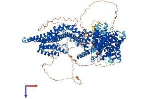 Stromal Antigen 1 Protein (STAG1) (AA 1-1258) (His tag)