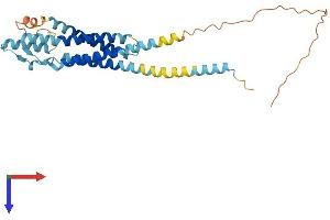 ODF4 Protein (AA 1-290) (His tag)