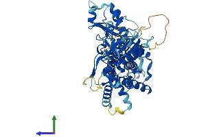 Protein Structure (PS) image for DALR Anticodon Binding Domain Containing 3 (DALRD3) (AA 1-538) protein (His tag) (ABIN7558089)