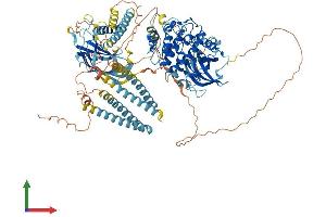 Protein Structure (PS) image for Protein Kinase N2 (PKN2) (AA 1-983) protein (His tag) (ABIN7564448)