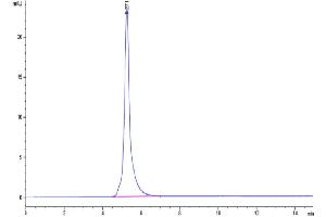 Size-exclusion chromatography-High Pressure Liquid Chromatography (SEC-HPLC) image for EPH Receptor A2 (EPHA2) (AA 24-534) protein (Fc Tag) (ABIN7274550)