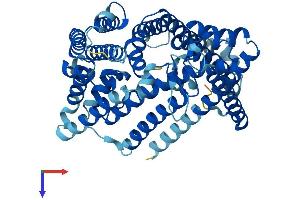 HHATL Protein (AA 1-503) (His tag)