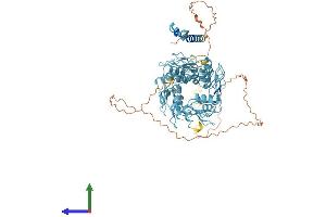 AlphaFold protein structure predicition of Human Recombinant ZNF761 Protein, UniprotID Q86XN6
