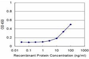 Detection limit for recombinant GST tagged AKAP12 is approximately 3ng/ml as a capture antibody. (AKAP12 Antikörper  (AA 1675-1782))